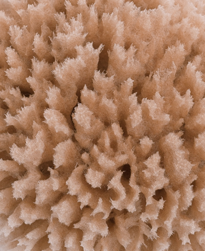 eponge de bain naturelle wool jetronomy